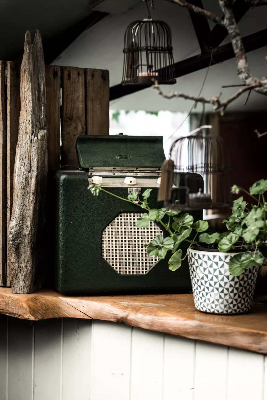 king johns nursery shop